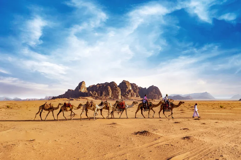 Half Day Camel Tour + Overnight in Deluxe Luxury Tent