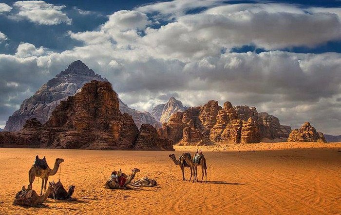 Full Day Camel Tour (Tour Only)